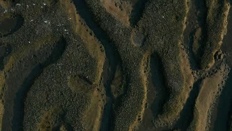 Muddy-zone,-at-the-end-of-a-30-km-long-bay,-channels-formed-by-the-tides