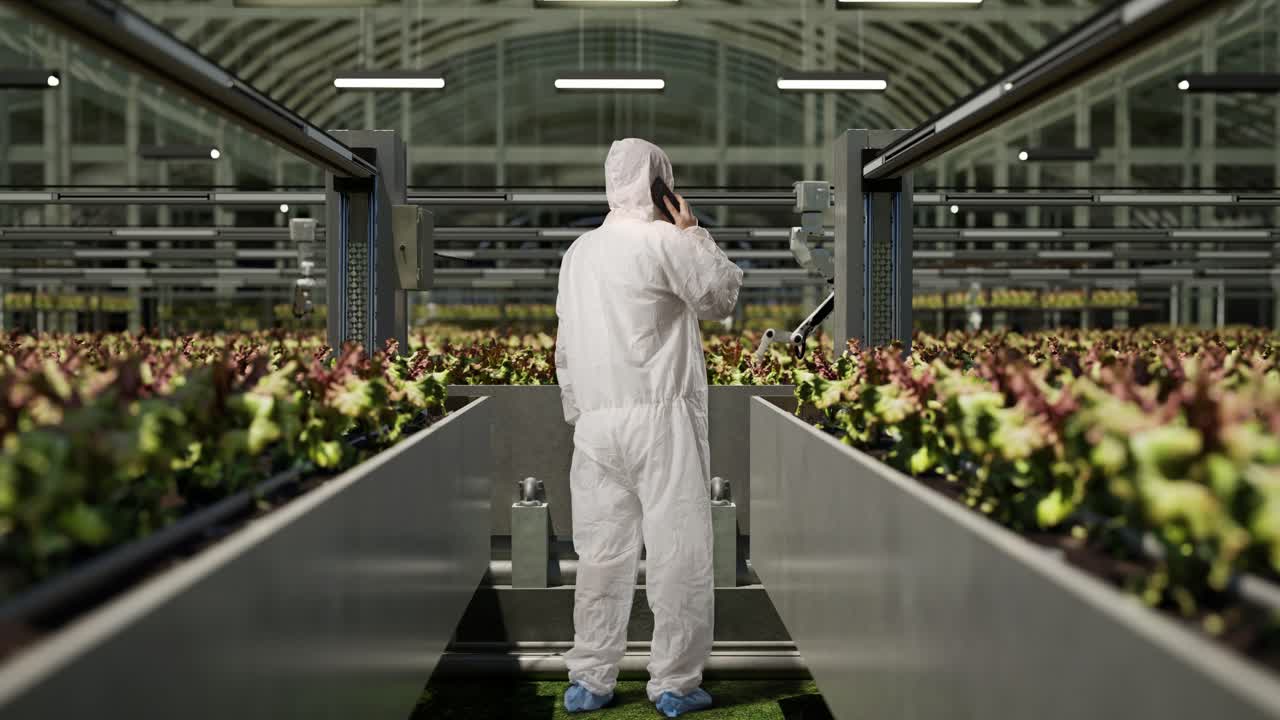 vista trasera del cuerpo completo de un hombre investigador hablando en el teléfono inteligente mientras estaba de pie en el invernadero con agricultores robóticos inteligentes