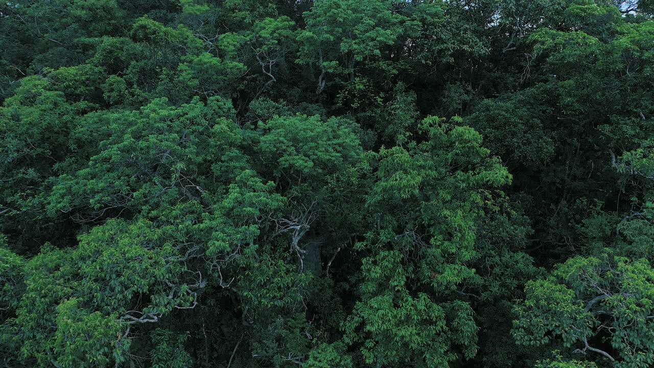 Marvelling over a world so beautiful