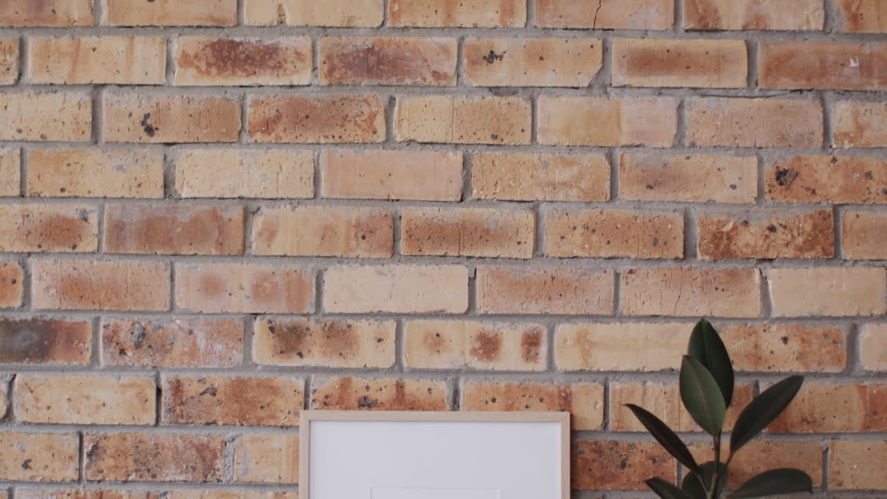 벽돌 벽에 대한 식물과 함께  ⁇  배경에 복사 공간을 가진 나무 프레임