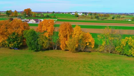 A-Drone-View-of-a-Row-of-Autumn-Trees,-with-Bright-Orange-and-Red-Leaves-Looking-Over-Farmlands-on-a-Bright-Sunny-Day