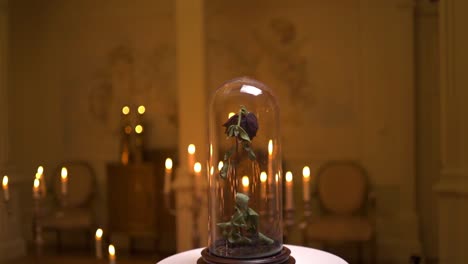 withering rose inside a glass dome, on top of a pedestal