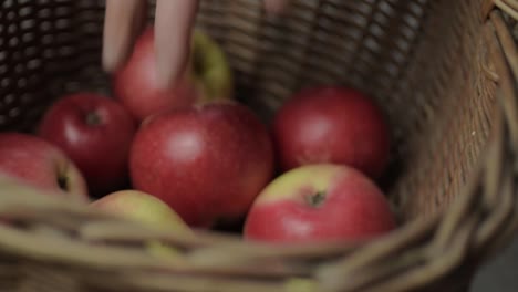 Hand-picking-fruit-from-basket-of-fresh-ripe-red-apples