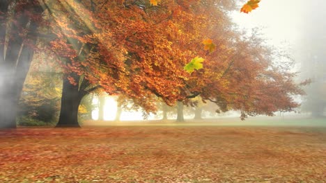 3D-Virtual-Studio-Falling-Leaf-Set-Background