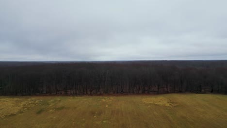 Aerial-view-of-a-vast,-leafless-winter-forest-under-a-gray-sky,-with-a-flat-field-in-the-foreground