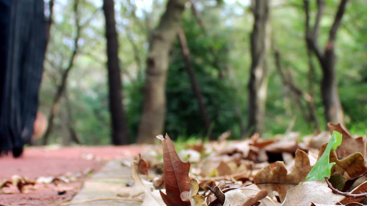 Walking In Park Forest Autumn Concept 1