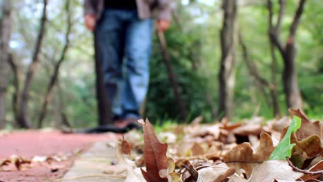 Walking-In-Park-Forest-Autumn-Concept-1