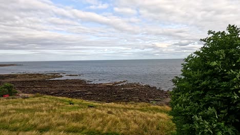 scenic seaside landscape with lush greenery