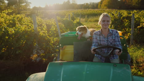 Un-Agricultor-En-Un-Mini-Tractor-Cabalga-Por-El-Campo-En-La-Parte-Trasera-De-Su-Fiel-Perro-Concepto-De-Vida-Rural