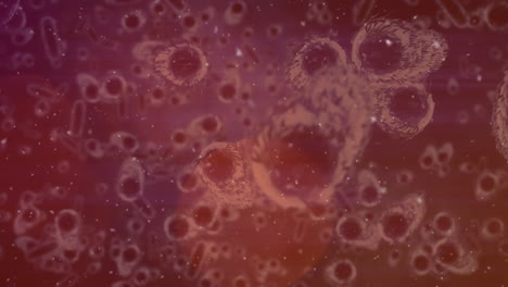animación de células en movimiento sobre fondo rojo