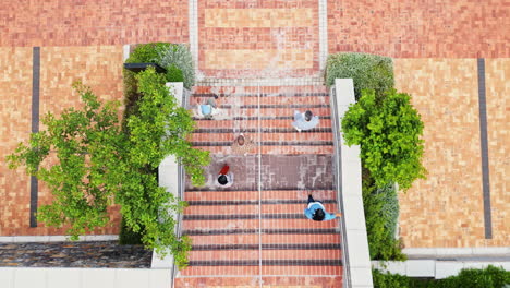 overhead, business people and walking outdoor