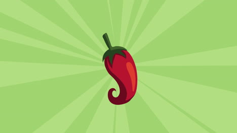 chili pepper illustration