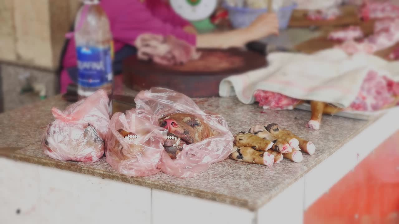 un perro asesinado y cocinado por su carne, vendido en los mercados de la ciudad de sapa en vietnam - cerrar