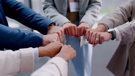 Business-people,-fist-and-circle-with-support