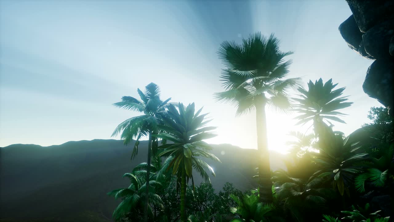 Sunset Beams through Palm Trees