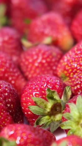 a vibrant collection of fresh strawberries ready to be enjoyed. perfect for desserts and healthy snacks