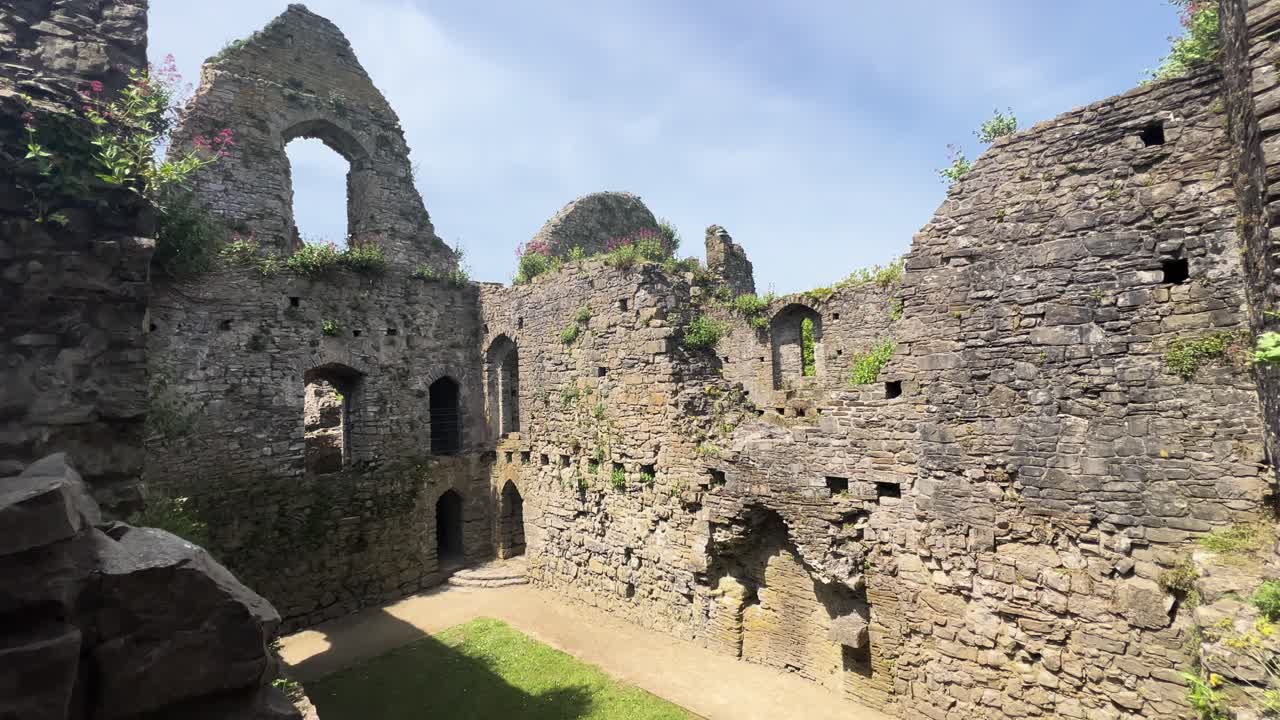 South Wales Swansea Oystermouth Castle Ruins Wild Plants