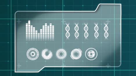 Folder with graphs and DNA strands