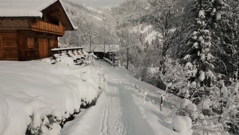 Mountain-village-cottage-in-snowy-landscape-with-sunlight,-snow-and-trees