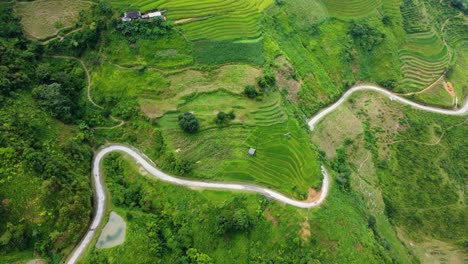 Road-snakes-between-Rice-terraced-fields-on-way-through-Ha-Giang,-Vietnam