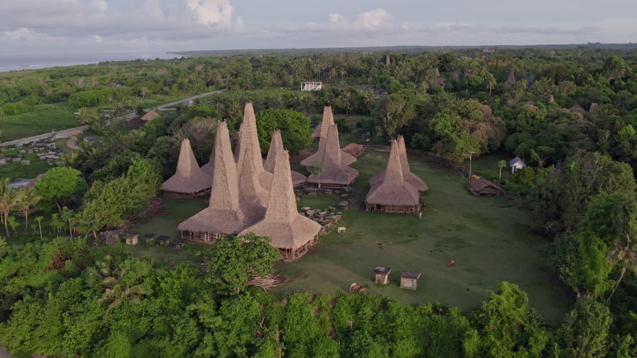 The famous Kampung Adat Ratenggaro at Sumba island during sunrise, aerial