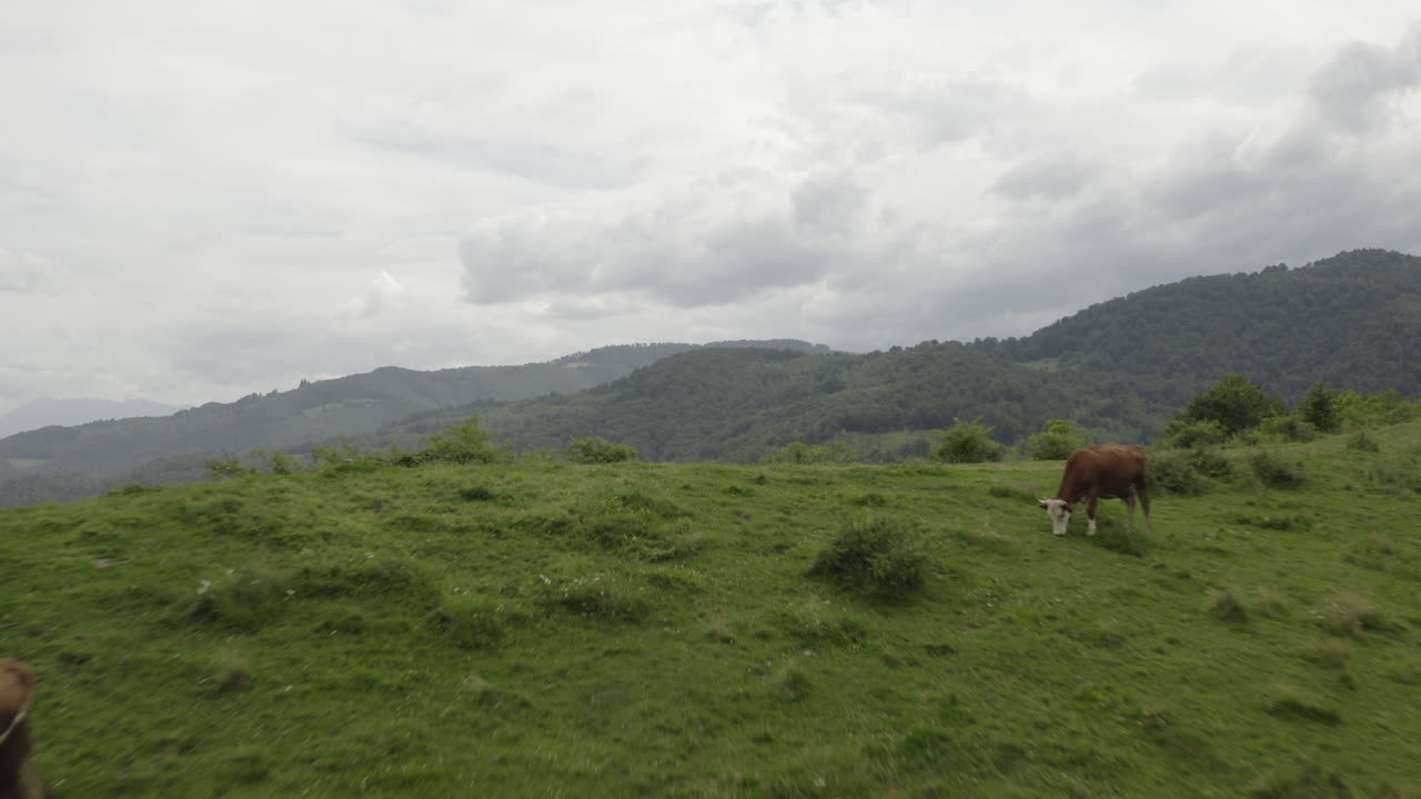 imágenes de drones de montaña tomadas por dji mavic 2 pro