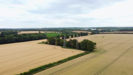 a rising shot of an overcast wheat field with electricity power line in the background
