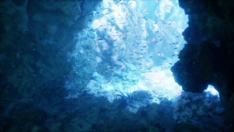 stunning underwater cave with school of fish