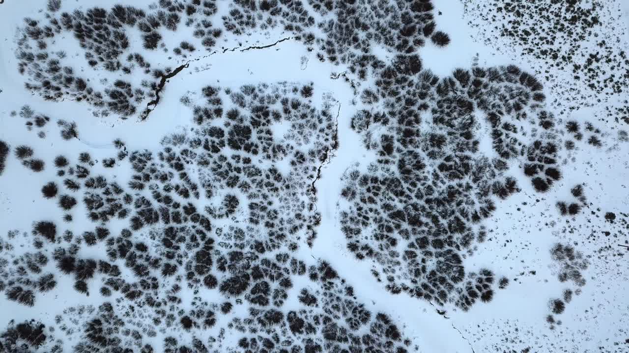 겨울철 고속도로 근처 숲의 얼어붙은 풍경