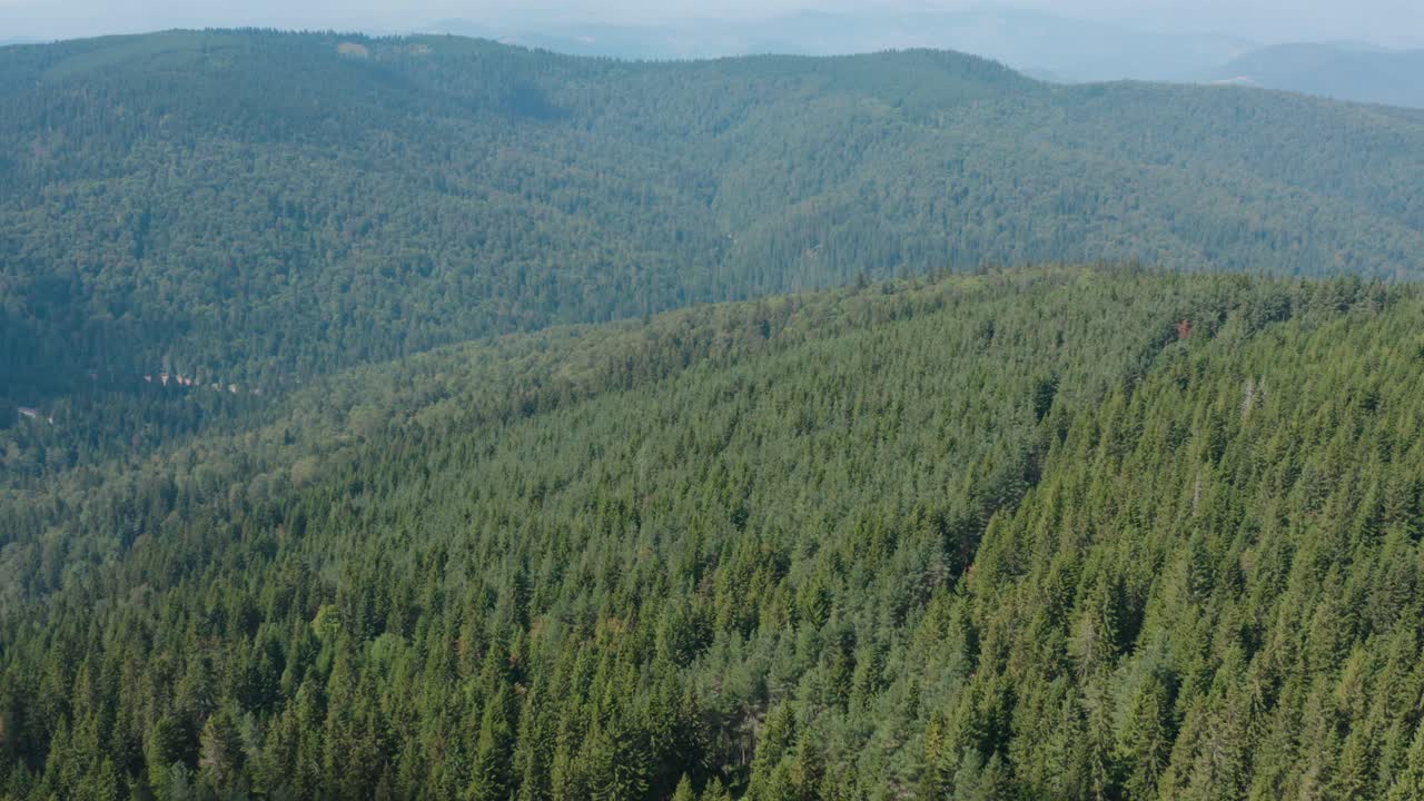 Magico paesaggio verde della foresta di Golija in Serbia - ripresa aerea.