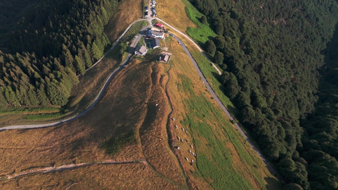 Fantastisk flygvy uppifrån över ett bergspass med en slingrande väg. En hjord kor betar fridfullt på det gröna sommarbetet