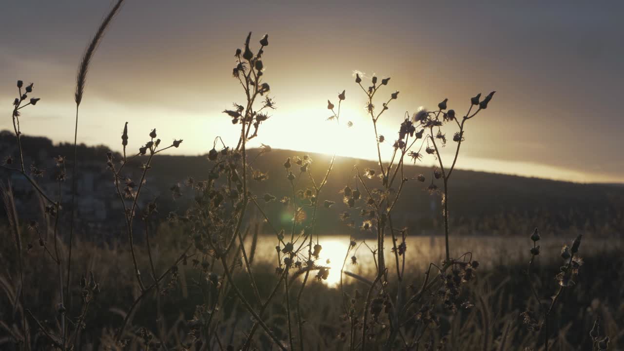 hora dorada puesta de sol cielo atmosférico naturaleza en primer plano
