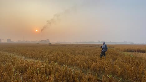 Weite-Sicht-Des-Fotografen,-Der-Ein-Bild-Von-Ackerland-Macht,-Das-Von-Der-Nahe-Gelegenen-Industrie-Verschmutzt-Wird