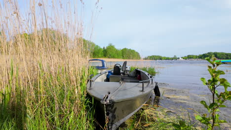 Un-Pequeño-Barco-Amarrado-Entre-Altos-Juncos-En-El-Borde-Del-Lago-Ukiel-En-Olsztyn,-Con-Una-Superficie-De-Agua-Tranquila-Y-árboles-Al-Fondo