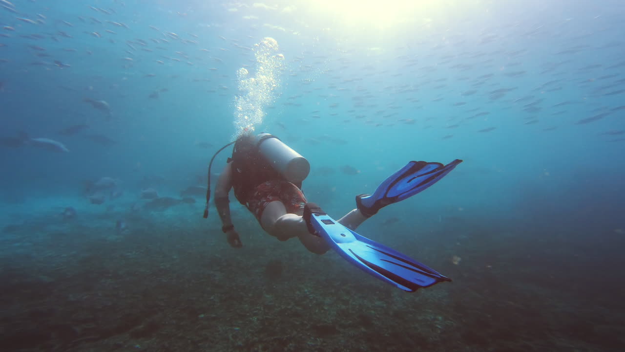 hacer más cosas que te hagan sentir vivo