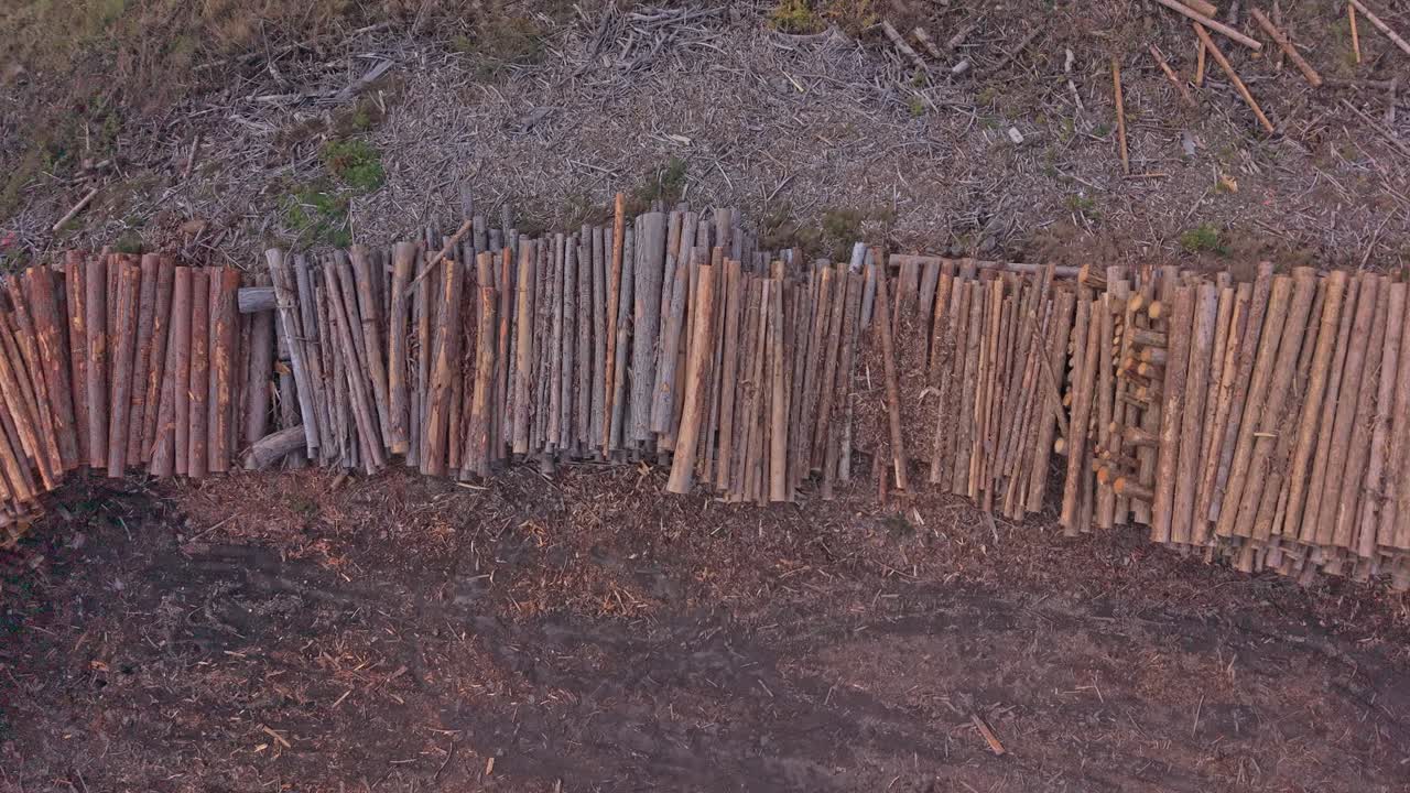 Stacked timber in remote forest area, seen from drone, Italy