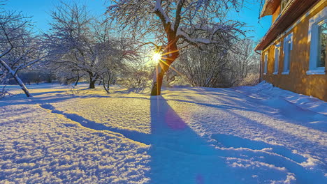 Amazing-descending-motion-Timelapse-of-sunset-rays-behind-snowy-tree-by-cabin