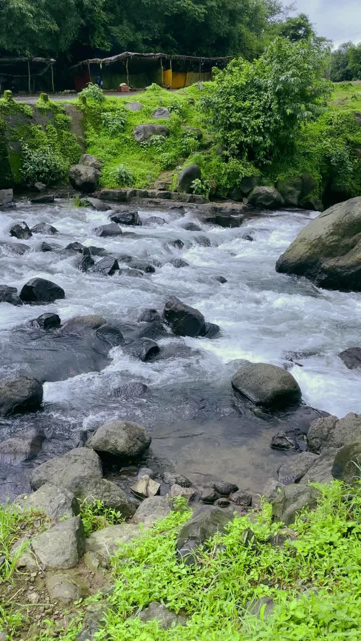 A tranquil forest scene in Bhandardara, Maharashtra, India, where crystal-clear water gently flows over smooth rocks. Towering lush green trees surround the scene