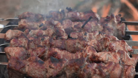 shashlik de cerdo de primer plano cocinando en el brasero al aire libre. kebabs de cerdo asados en la parrilla