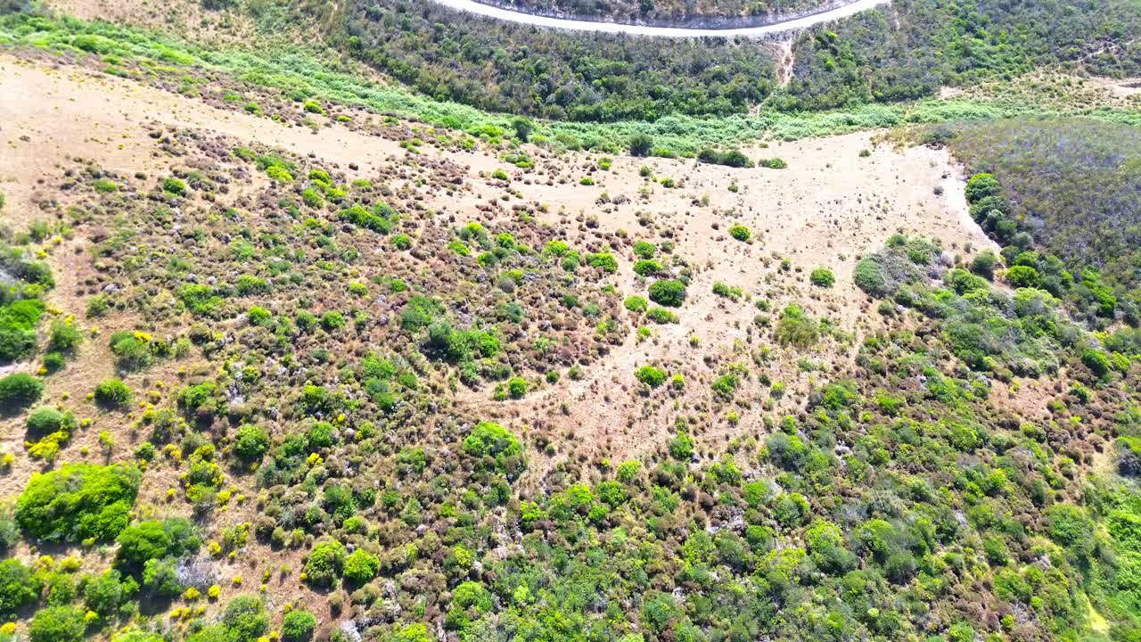 vista aérea sobre un paisaje accidentado, árboles verdes, tierra seca, portugal, 4k