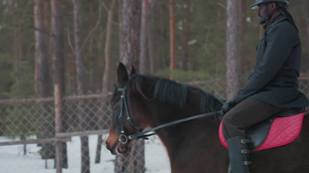 Мужчина на лошади на фоне природы, художественное изображение всадника на гнедой лошади с деревенским фоном, яркое изображение человека, едущего на лошади по живописной сельской местности с красочным седлом