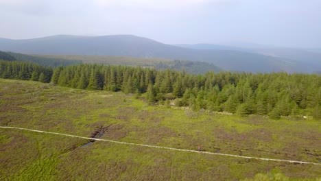 Man-walking-on-boardwalk-in-Wicklow-Mountain-National-Park,-Ireland