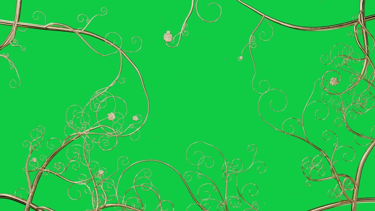 Edge tubes opening golden vines coiling spiraling bud sliding to form frame on transparent backdrop
