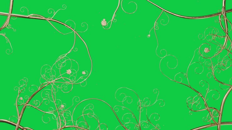 Edge tubes opening golden vines coiling spiraling bud sliding to form frame on transparent backdrop