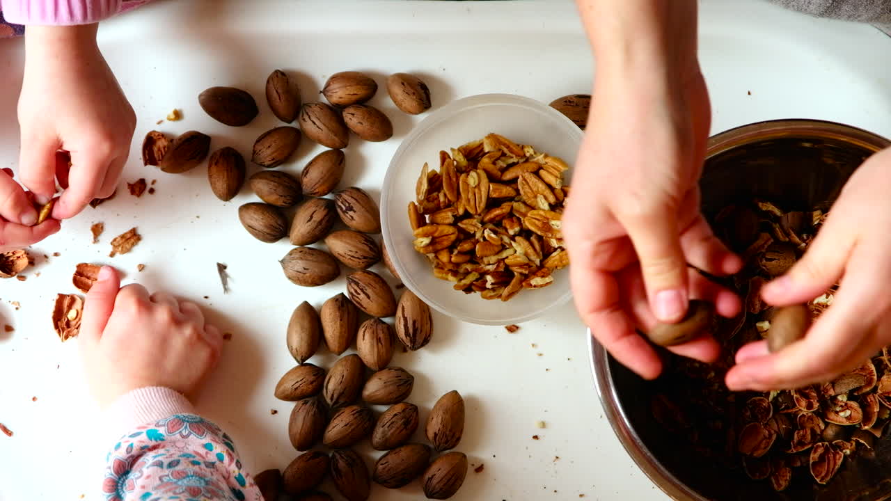Overhead close-up of kids and adult female hands shelling pecan nuts