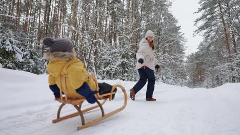 family weekend and winter vacation in forest woman sledding her little son in coniferous woodland