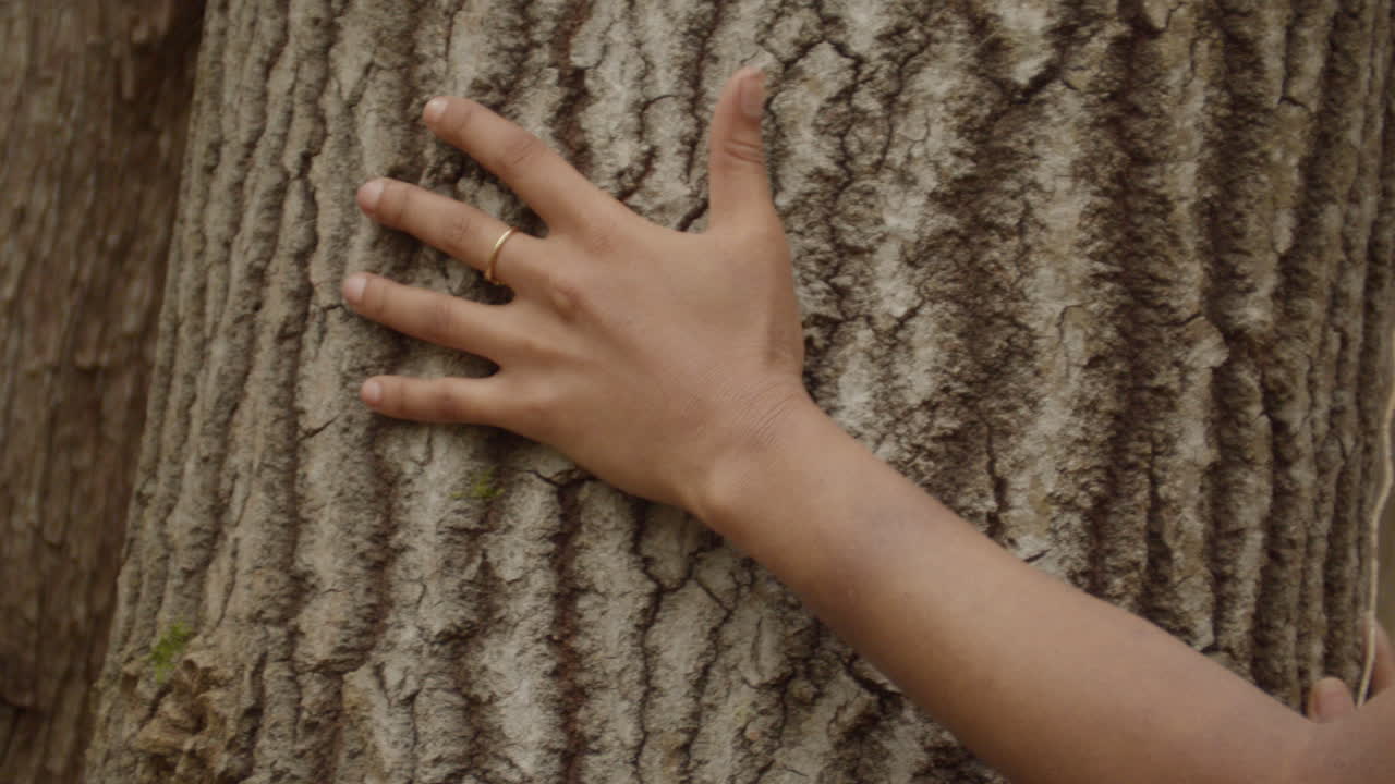 The hands of a young ebony woman run along the bark of a sweetgum tree. A gold ring on her left hand, pink scrunchie on her right wrist. Left hand runs down along the bark, while right hand goes up.