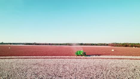 A-cotton-picker-cutting-the-white-cotton-balls,-leaving-a-brown-field-behind-him