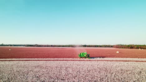 un recolector de algodón cortando las bolas blancas de algodón, dejando un campo marrón detrás de él