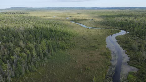 Toma-Aérea-De-Reenvío-De-Tierras-Pantanosas-Cerca-De-Cedar-Michigan,-El-Río-Desemboca-En-La-Gran-Travesía